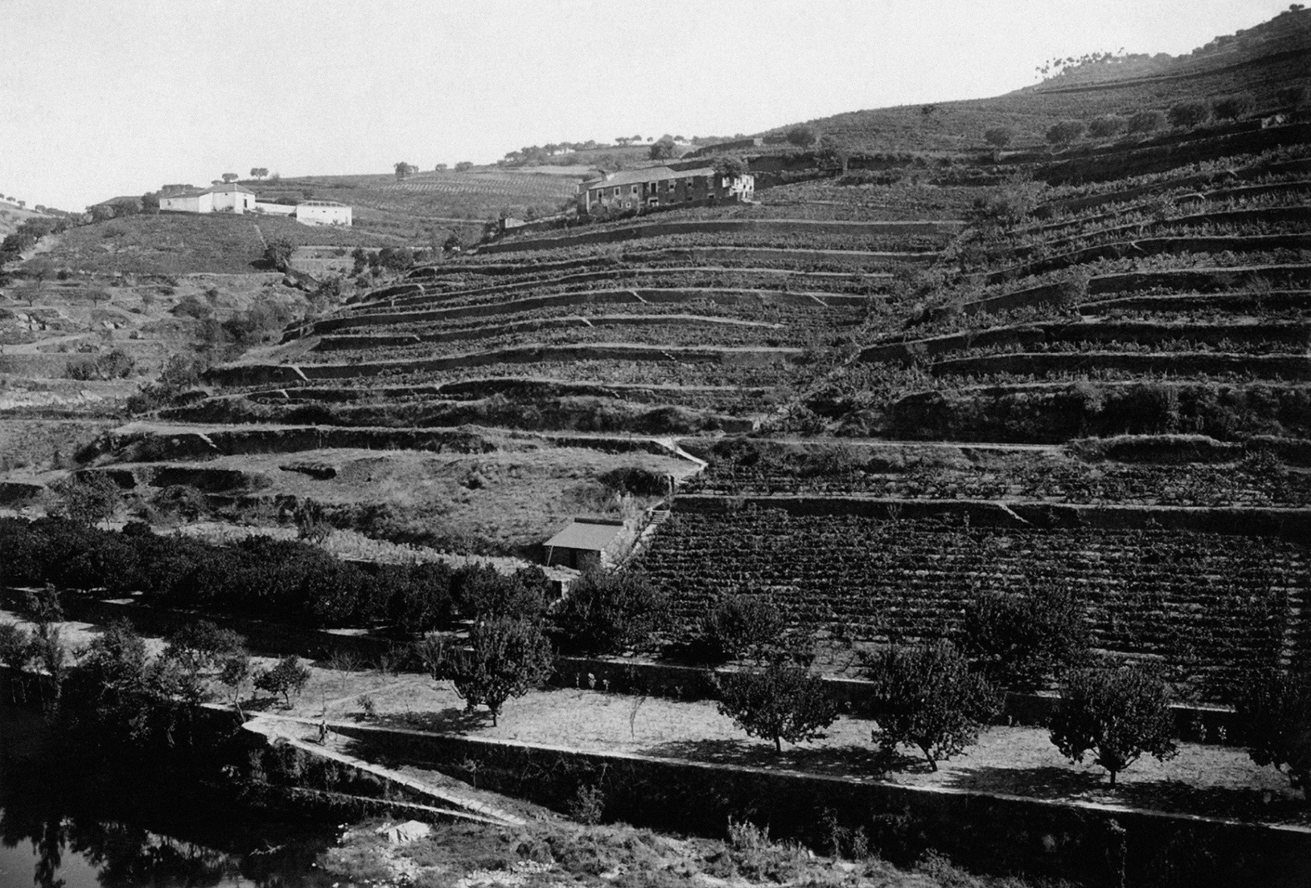 Quinta do Vallado - Adelaide - Douro