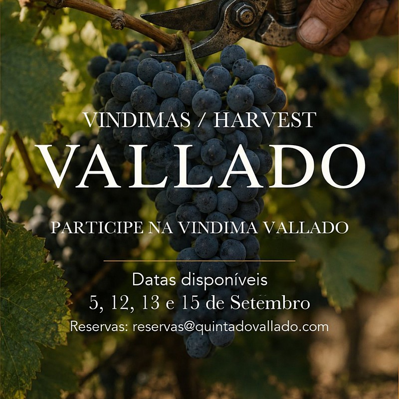 Vindimas Vallado